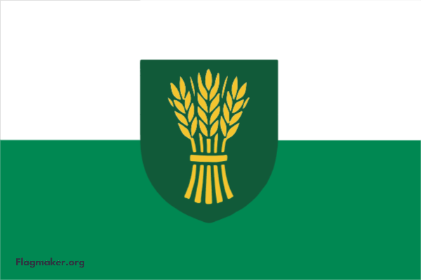 Flag Design 1